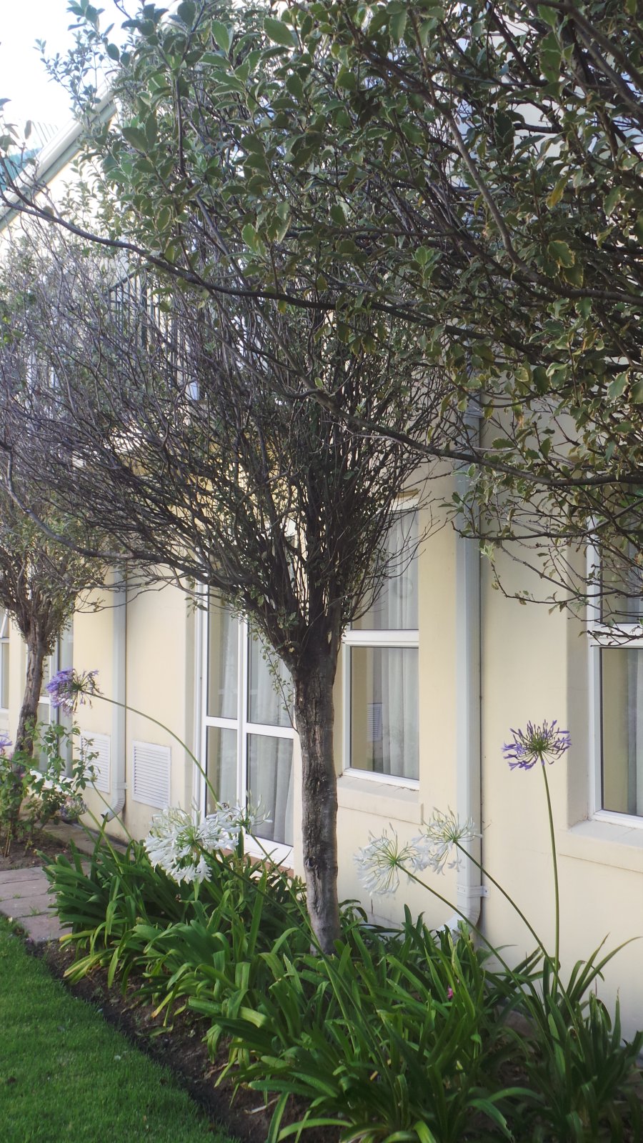 Courtyard Hotel44